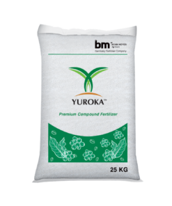 Dòng sản phẩm Yuroka