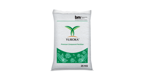 Dòng sản phẩm Yuroka