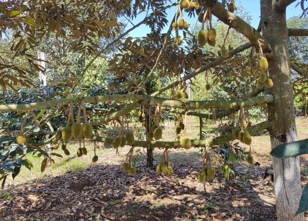 z1389453218362_39e99c3b02176a7d2e29eba8c9f19a4a