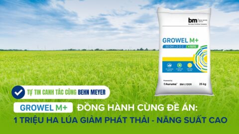 Behn Meyer tự hào là đơn vị đồng hành cùng Đề án phát triển bền vững 1 triệu ha chuyên canh lúa chất lượng cao, phát thải thấp gắn với tăng trưởng xanh tại ĐBSCL