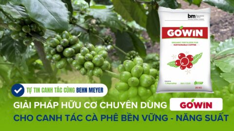GOWIN – Giải pháp hữu cơ chuyên dùng cho cà phê canh tác bền vững