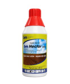 BM Hector
