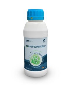 Bafoliar Kelp