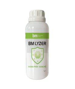 BM Lyzer