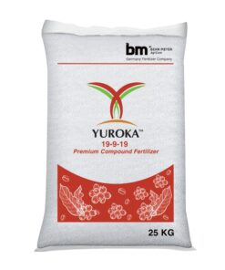 Yuroka 19-9-19