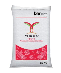 Yuroka 19-6-19