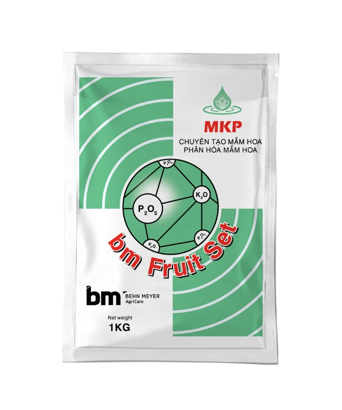 BM Fruit Set